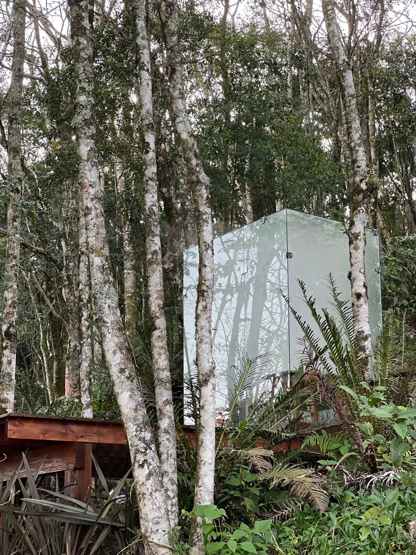 Sauna envidraçada entre as árvores do Taboo Refúgio